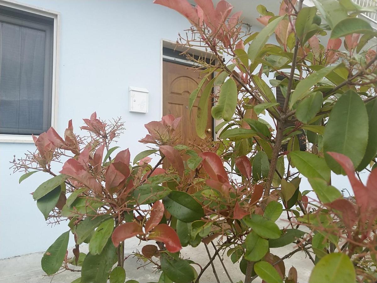 Rosa Dei Venti House Villa Campomarino  Ngoại thất bức ảnh