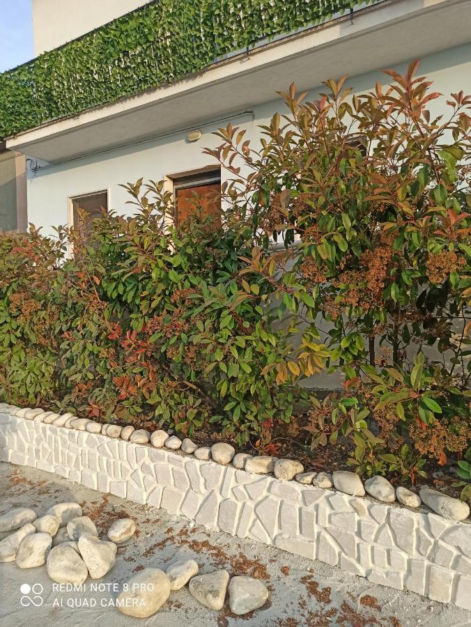 Rosa Dei Venti House Villa Campomarino  Ngoại thất bức ảnh